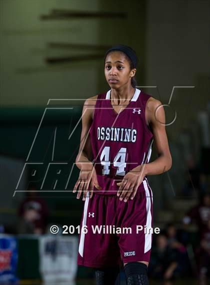Thumbnail 3 in Shenendehowa vs. Ossining (NYSPHSAA Class AA Final) photogallery.