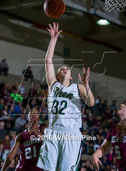 Thumbnail 2 in Shenendehowa vs. Ossining (NYSPHSAA Class AA Final) photogallery.