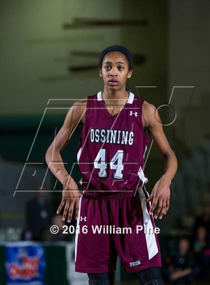 Thumbnail 1 in Shenendehowa vs. Ossining (NYSPHSAA Class AA Final) photogallery.