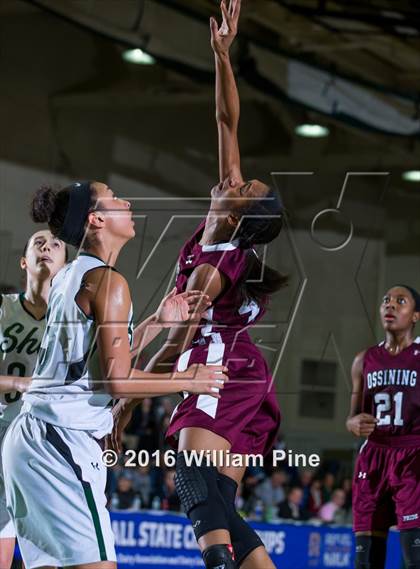 Thumbnail 3 in Shenendehowa vs. Ossining (NYSPHSAA Class AA Final) photogallery.