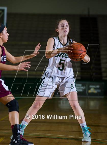 Thumbnail 3 in Shenendehowa vs. Ossining (NYSPHSAA Class AA Final) photogallery.