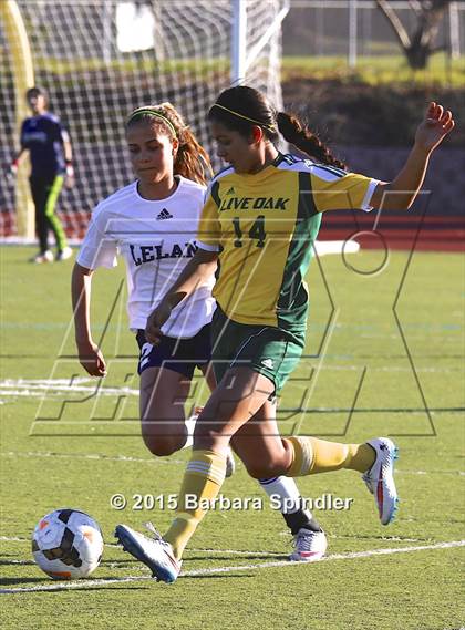 Thumbnail 1 in Live Oak @ Leland photogallery.
