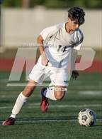 Photo from the gallery "Gladstone @ Crescent Valley"