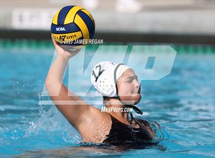Thumbnail 1 in Homestead @ Hillsdale photogallery.