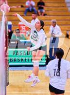 Photo from the gallery "Porter @ Pasadena"