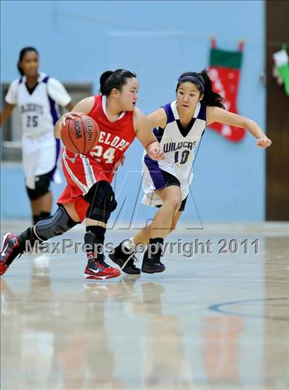 Thumbnail 3 in Franklin vs. Antelope photogallery.