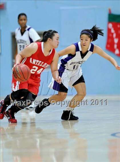 Thumbnail 2 in Franklin vs. Antelope photogallery.