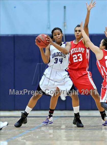 Thumbnail 3 in Franklin vs. Antelope photogallery.