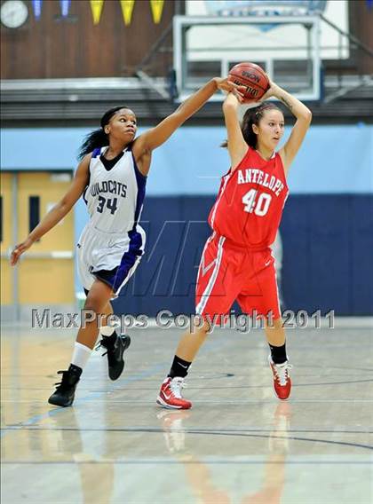 Thumbnail 3 in Franklin vs. Antelope photogallery.