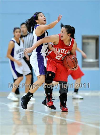 Thumbnail 1 in Franklin vs. Antelope photogallery.