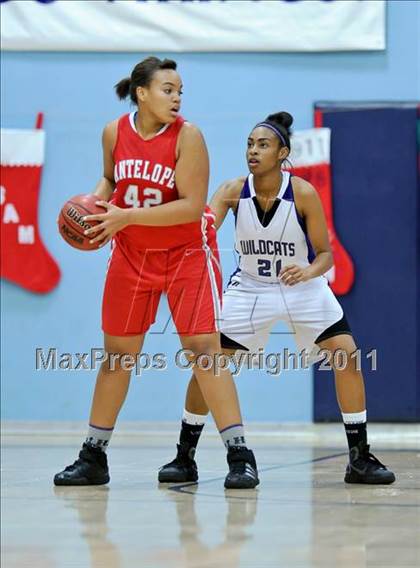 Thumbnail 2 in Franklin vs. Antelope photogallery.