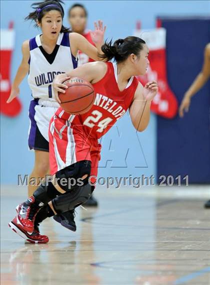 Thumbnail 1 in Franklin vs. Antelope photogallery.