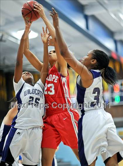 Thumbnail 3 in Franklin vs. Antelope photogallery.