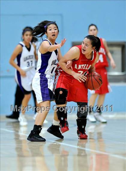 Thumbnail 2 in Franklin vs. Antelope photogallery.