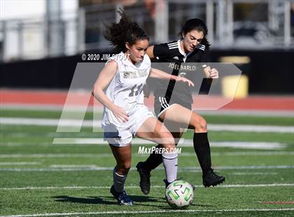 Thumbnail 1 in Notre Dame-Fairfield @ Joel Barlow photogallery.