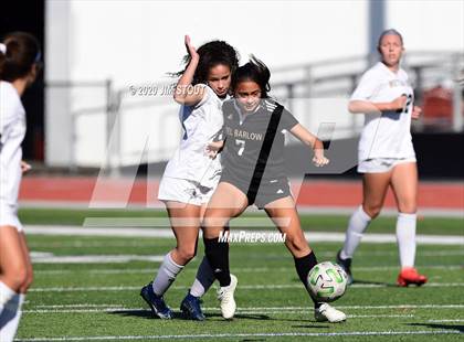 Thumbnail 3 in Notre Dame-Fairfield @ Joel Barlow photogallery.