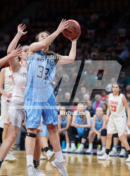 Thumbnail 3 in Ralston Valley vs. Lakewood (CHSAA 5A Great 8) photogallery.