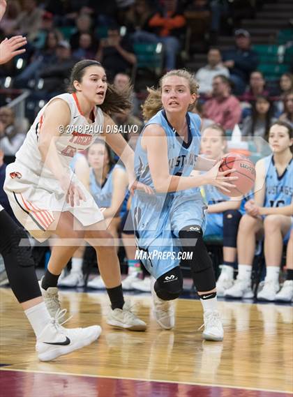 Thumbnail 1 in Ralston Valley vs. Lakewood (CHSAA 5A Great 8) photogallery.