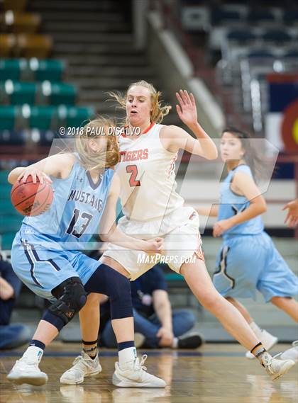 Thumbnail 2 in Ralston Valley vs. Lakewood (CHSAA 5A Great 8) photogallery.