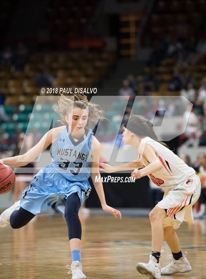 Thumbnail 3 in Ralston Valley vs. Lakewood (CHSAA 5A Great 8) photogallery.