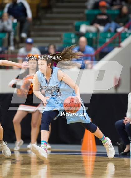 Thumbnail 3 in Ralston Valley vs. Lakewood (CHSAA 5A Great 8) photogallery.