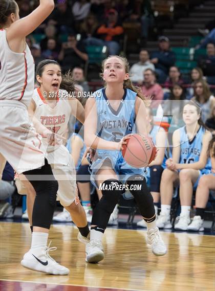 Thumbnail 3 in Ralston Valley vs. Lakewood (CHSAA 5A Great 8) photogallery.