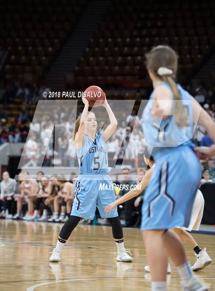 Thumbnail 3 in Ralston Valley vs. Lakewood (CHSAA 5A Great 8) photogallery.