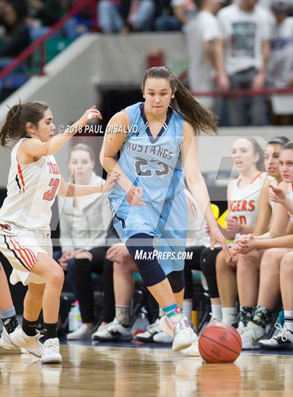 Thumbnail 1 in Ralston Valley vs. Lakewood (CHSAA 5A Great 8) photogallery.