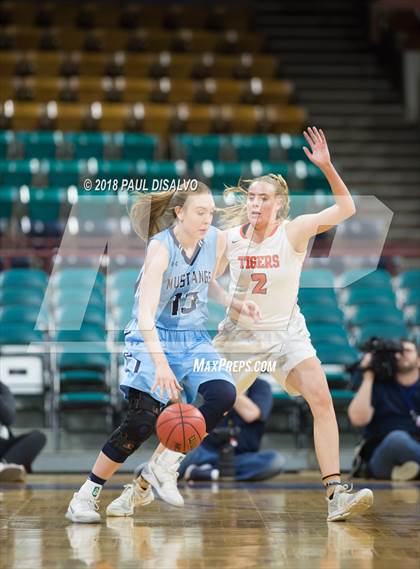 Thumbnail 1 in Ralston Valley vs. Lakewood (CHSAA 5A Great 8) photogallery.