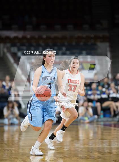 Thumbnail 1 in Ralston Valley vs. Lakewood (CHSAA 5A Great 8) photogallery.