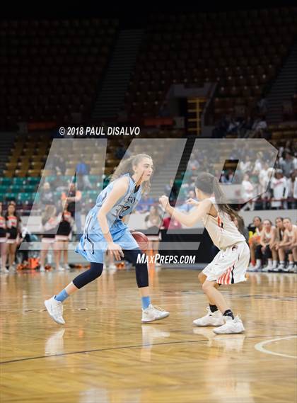 Thumbnail 3 in Ralston Valley vs. Lakewood (CHSAA 5A Great 8) photogallery.