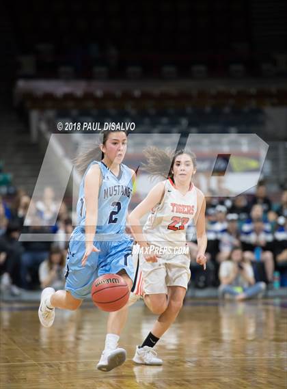 Thumbnail 3 in Ralston Valley vs. Lakewood (CHSAA 5A Great 8) photogallery.