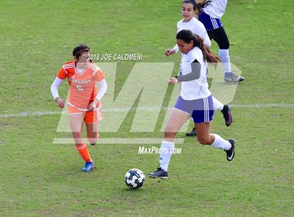 Thumbnail 1 in Brackenridge vs. Burbank photogallery.