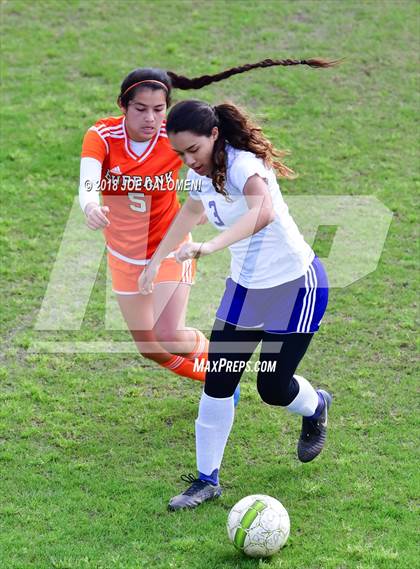 Thumbnail 1 in Brackenridge vs. Burbank photogallery.