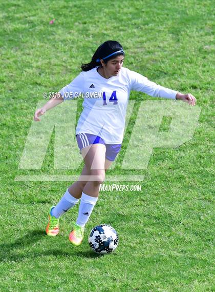 Thumbnail 1 in Brackenridge vs. Burbank photogallery.