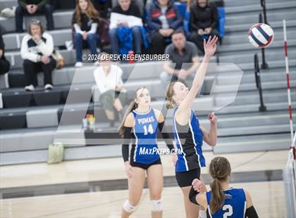 Thumbnail 3 in Peak to Peak vs Aspen (CHSAA 3A Regionals, Site 9) photogallery.