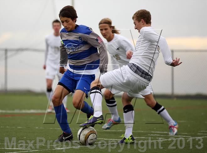 null - Photo 21