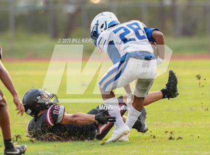 Thumbnail 2 in Cypress Bay @ Stoneman Douglas photogallery.