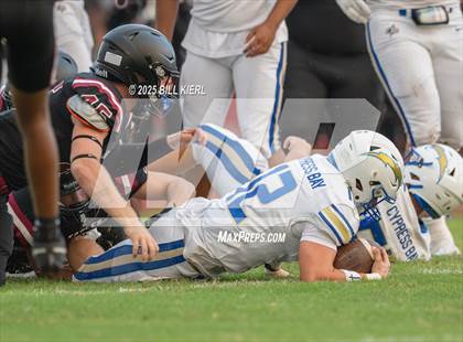 Thumbnail 3 in Cypress Bay @ Stoneman Douglas photogallery.