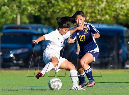Thumbnail 3 in Needham @ Brookline photogallery.