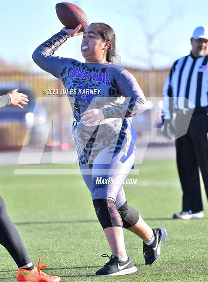 Thumbnail 2 in Desert Pines @ Doral Academy Red Rock photogallery.