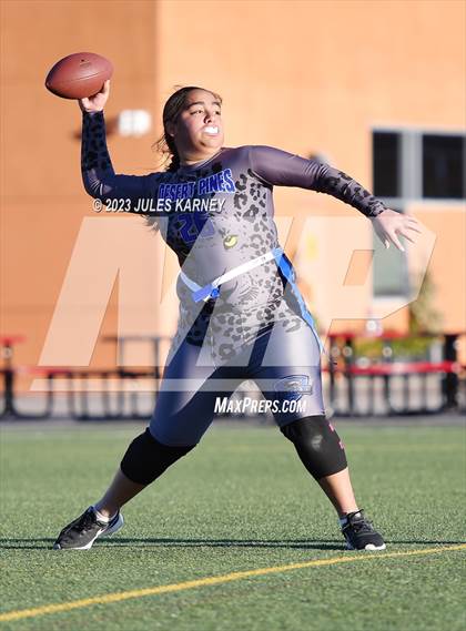 Thumbnail 2 in Desert Pines @ Doral Academy Red Rock photogallery.