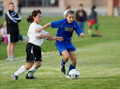 Thumbnail 2 in Turlock @ Johansen photogallery.