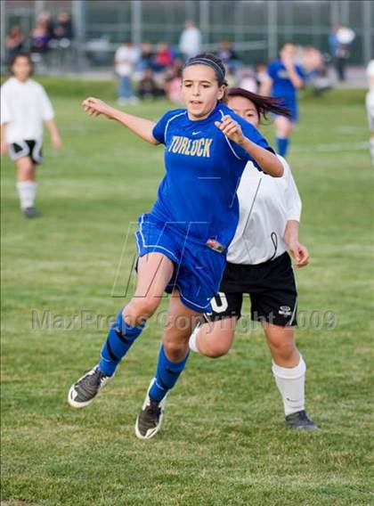 Thumbnail 3 in Turlock @ Johansen photogallery.