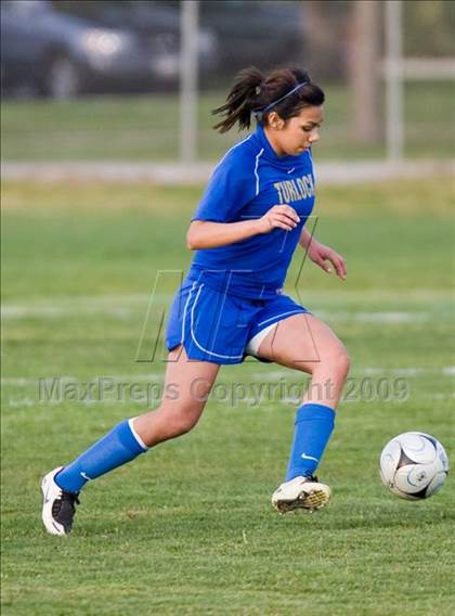 Thumbnail 1 in Turlock @ Johansen photogallery.
