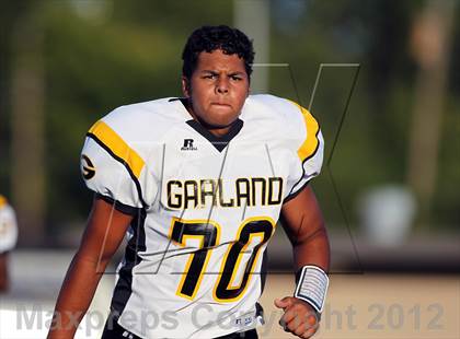 Thumbnail 3 in Garland @ Horn photogallery.