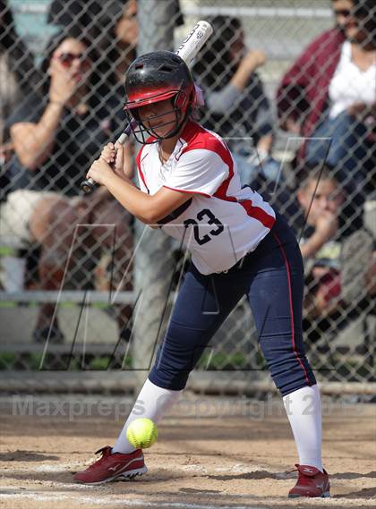 Thumbnail 1 in Alemany @ Bellarmine-Jefferson photogallery.