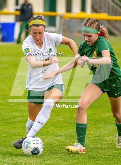 Thumbnail 1 in Cardinal Gibbons vs Pine Forest (NCHSAA 4A - First Round) photogallery.