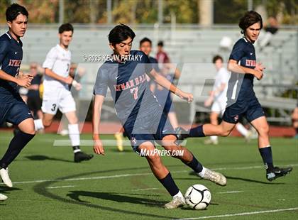 Thumbnail 3 in North Haven @ Lyman Hall photogallery.