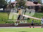 Photo from the gallery "Mountain Vista @ Regis Jesuit (CHSAA 5A Second Round)"